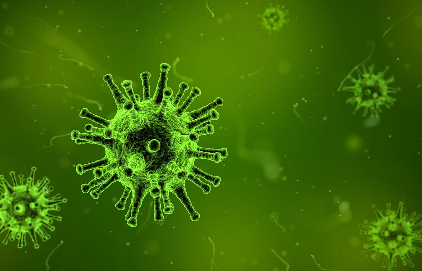 6 Dangerous Viruses That Take Leaders Down